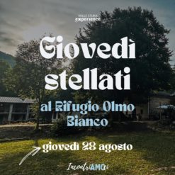 2025.08.28 | Dîner + Excursion |