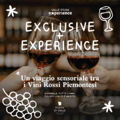 A sensory journey through Piedmontese red wines