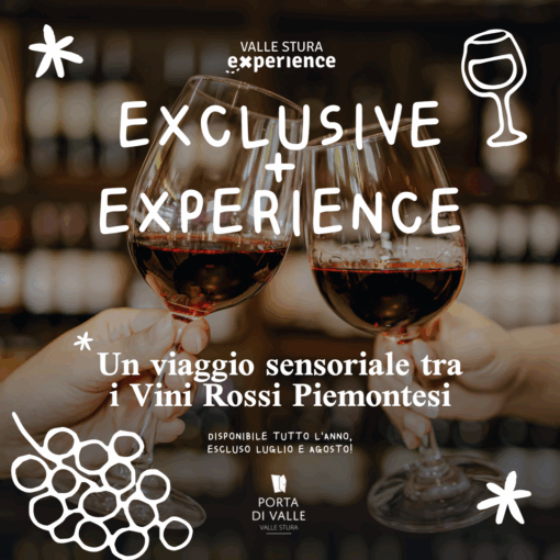 A sensory journey through Piedmontese red wines