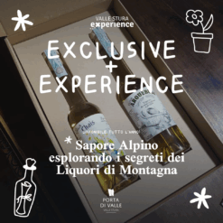 Alpine Flavor: Exploring the Secrets of Mountain Liqueurs