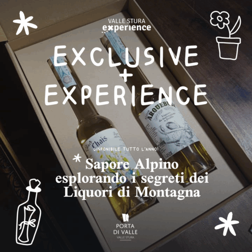 Alpine Flavor: Exploring the Secrets of Mountain Liqueurs