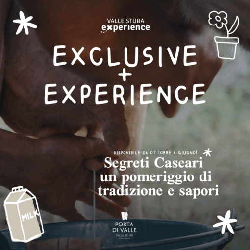 Secrets laitiers : un après-midi de traditions et de saveurs