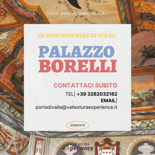 Guided Tour of Palazzo Borelli - Demonte