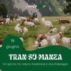 2026.06.18 | VIVI LA TRANSUMANZA