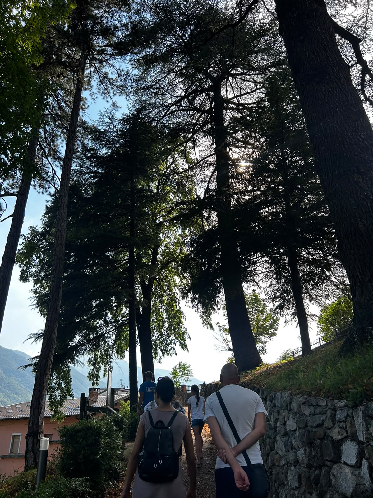 2026 | VISITA GUIDATA A PARCO BORELLI - DEMONTE - immagine 3