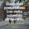 Ciaspolata pomeridiana con visita aziendale e degustazione all'Ape d'Oc