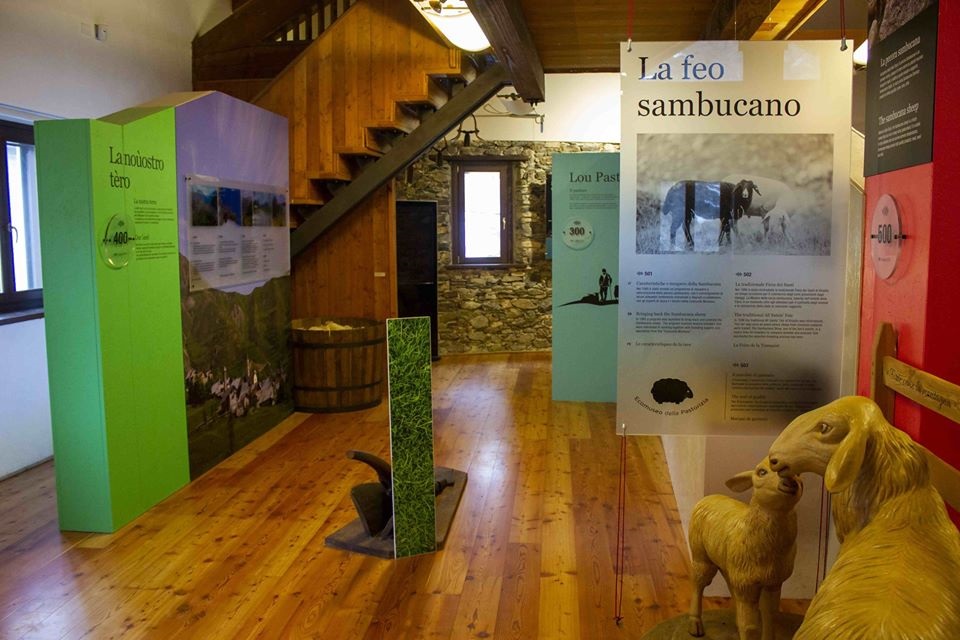 Ecomuseum of sheep breeding