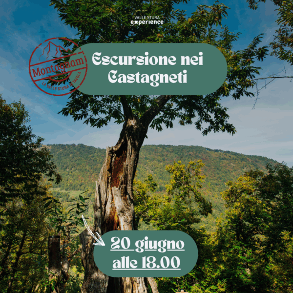 2025.06.20 | Escursioni nei castagneti e degustazione di prodotti locali