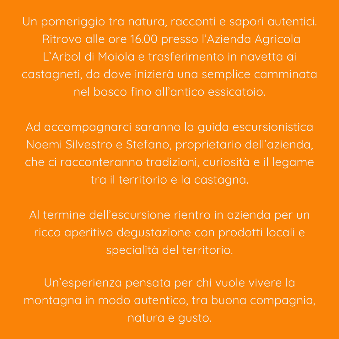 2026.06.20 | Escursione e Aperitivo tra i Castagneti in Fiore - immagine 2