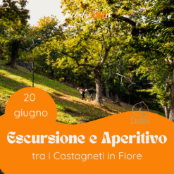 2026.06.20 | Escursione e Aperitivo tra i Castagneti in Fiore