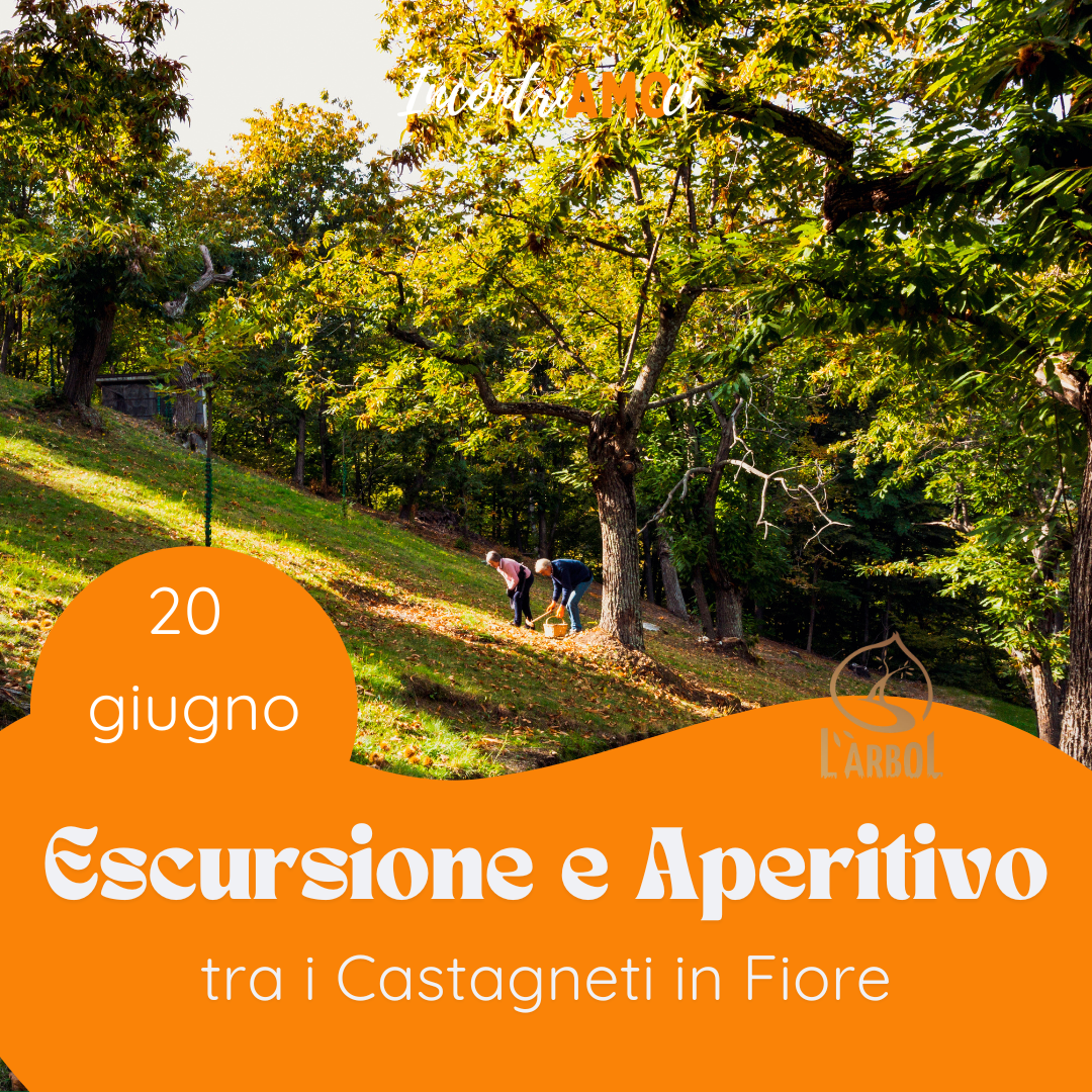 2026.06.20 | Escursione e Aperitivo tra i Castagneti in Fiore