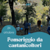 Un pomeriggio da castanicoltori