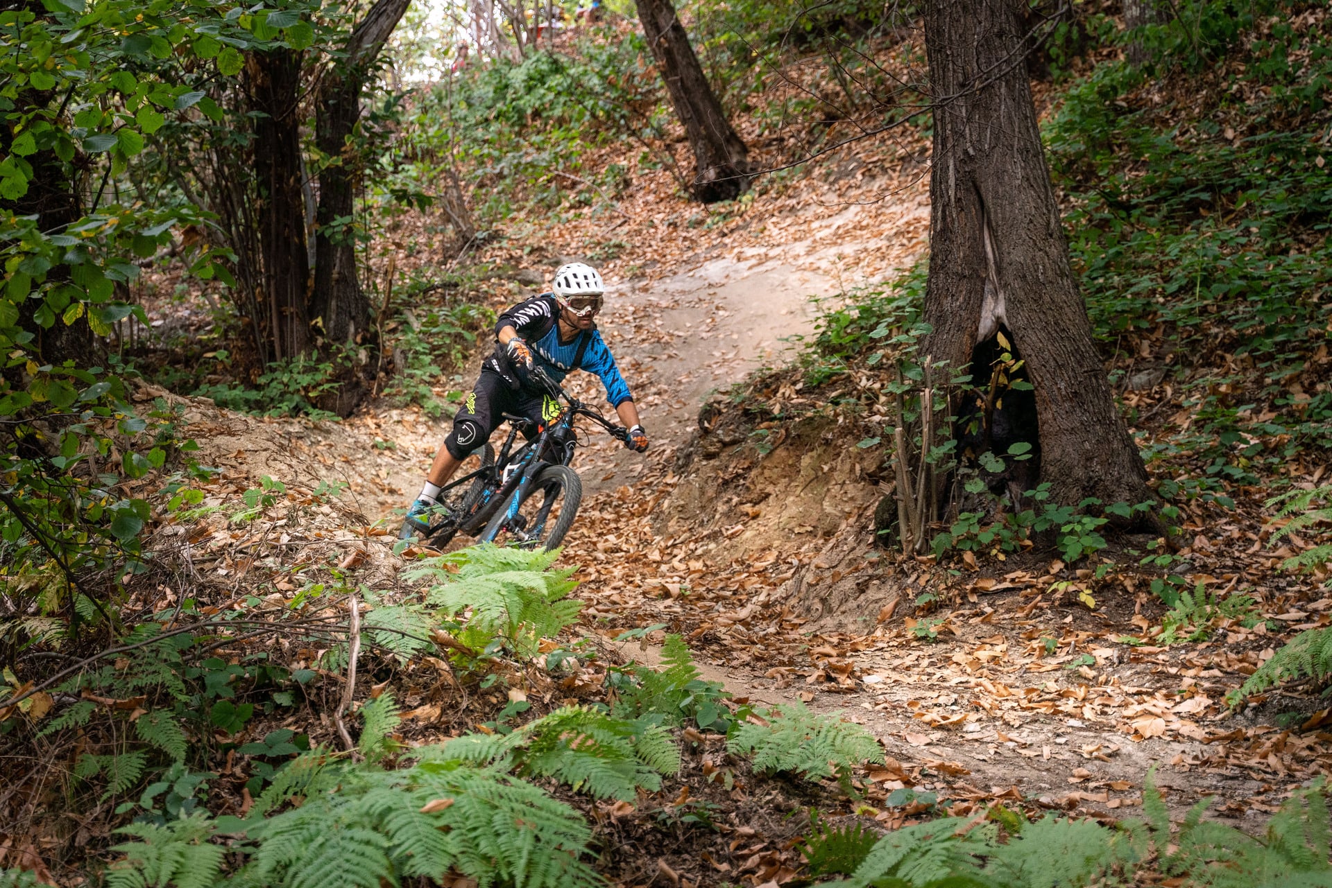 MTB trail tecnici, emozioni senza sosta