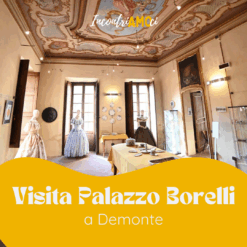 Visite guidée du Palais Borelli - Demonte